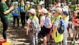 Więcej o: Odwiedzamy Park Korzonek