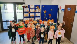 Więcej o: 🎃 Dyniowy Tydzień Pszczółek 🐝